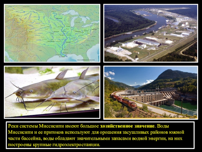 Хозяйственное значение реки миссисипи. Презентация Миссисипи. Использование реки Миссисипи человеком. Миссисипи интересные факты. Характеристика реки Миссисипи.
