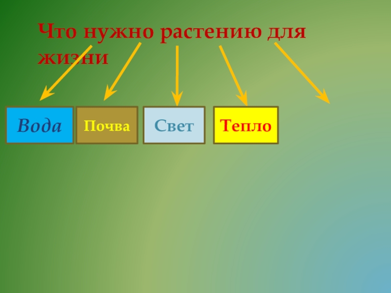 Что необходимо растениям для жизни. Что нужно растениям. Тепло почва свет для растений. Для роста растения необходимо тепло свет вода почва. Для чего растению нужно тепло и почва.