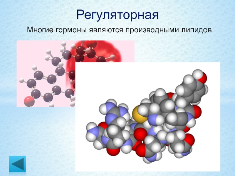 Гормоны проект 9 класс