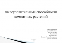Презентация по биологии на тему  Пылеуловительные комнатные растения