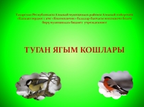 Презентация проекта по обучению детей родному языку Туган ягым кошлары