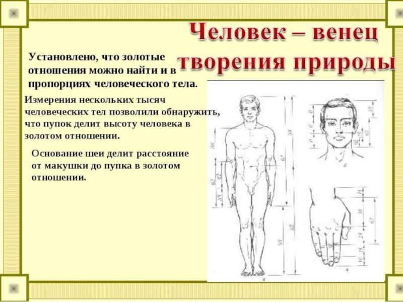 Венец природы за и против. Человек венец творения. Человек венец творения природы. Человек венец природы Аргументы. Человек венец природы Аргументы за и против.