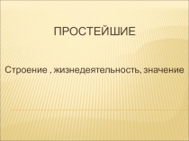 Презентация по биологии Простейшие