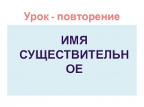 Презентация к уроку на тему Имя существительное