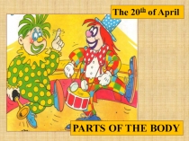 Презентация по английскому языку на тему Части тела