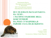 Презентация : Распространение вида бобр речной на реке Суходрев в районе села Недельное