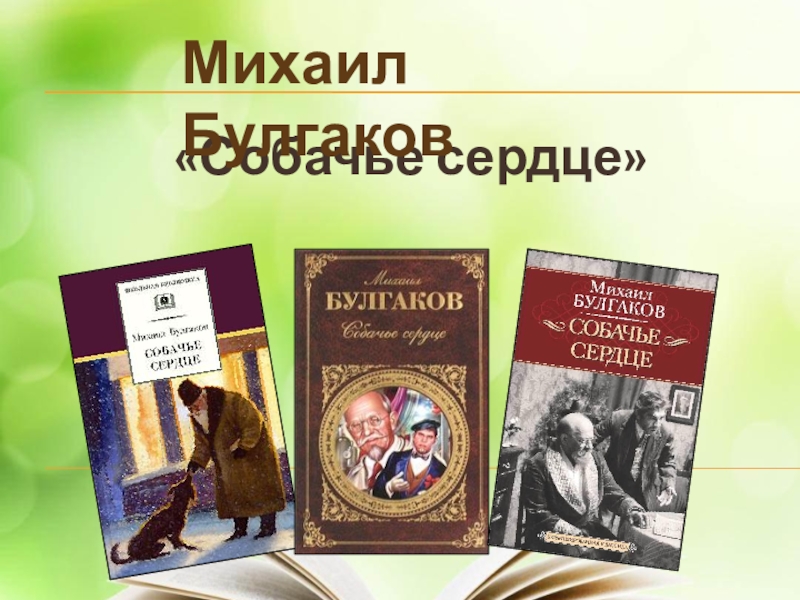 Презентация Презентация по литературе на тему М.Булгаков Собачье сердце (11 класс)