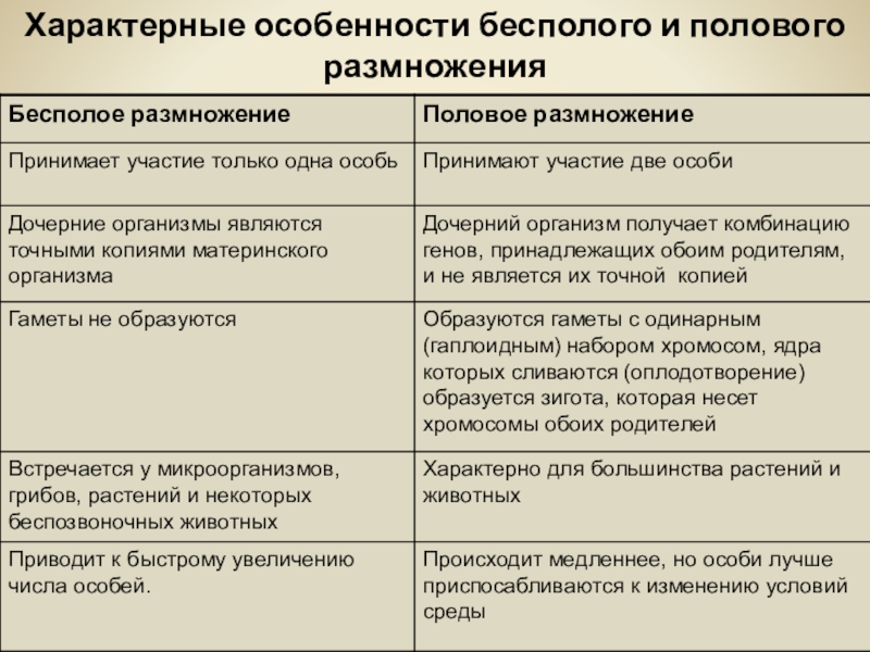 Бесполое и половое размножение 10 класс презентация