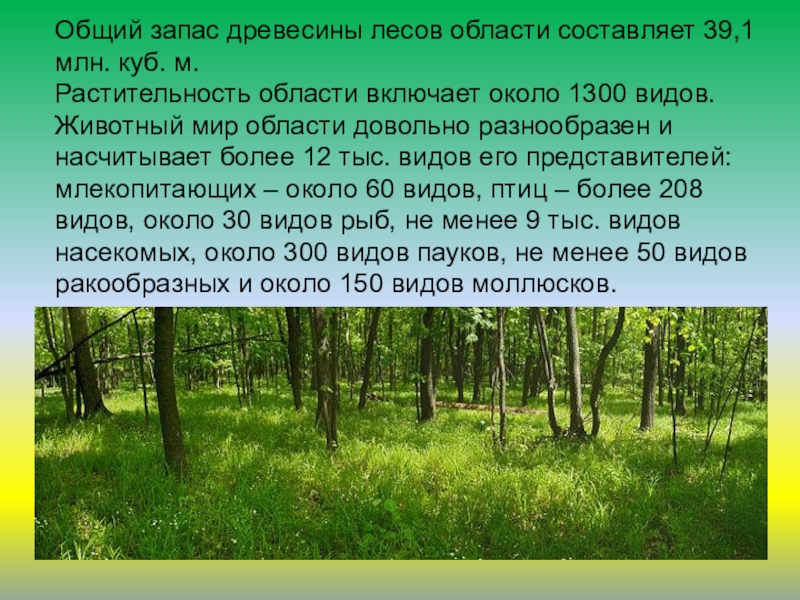 Наш край белгородская область 4 класс окружающий мир презентация