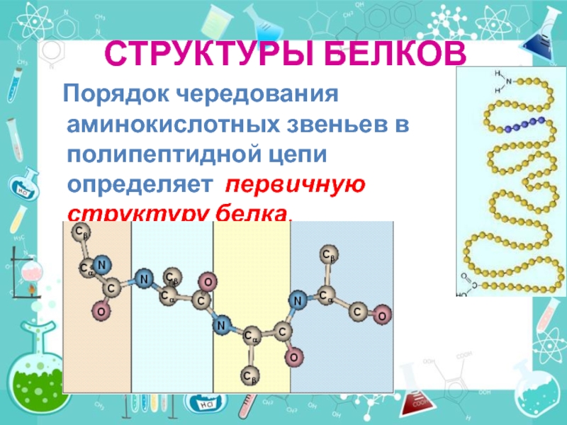 Презентация на тему белки 10 класс химия