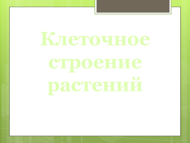 Презентация на тему движение растений