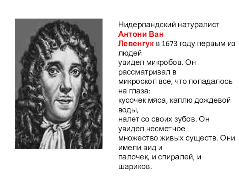 Нидерландский натуралист. Антоний Ван Левенгук. Антони Ван Левенгук 1673. Антони Ван Левенгук натуралист. Антоний Ван Левенгук вклад в медицину.