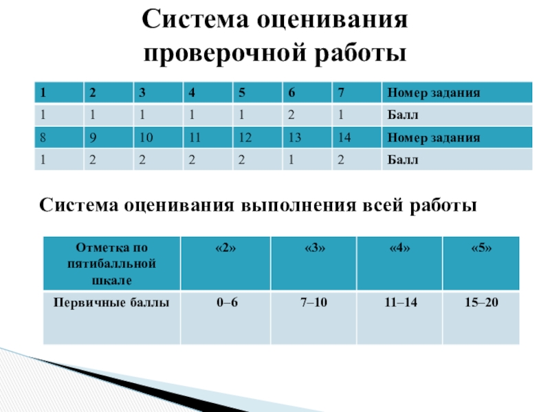 Система оценивания проверочной работы по русскому языку
