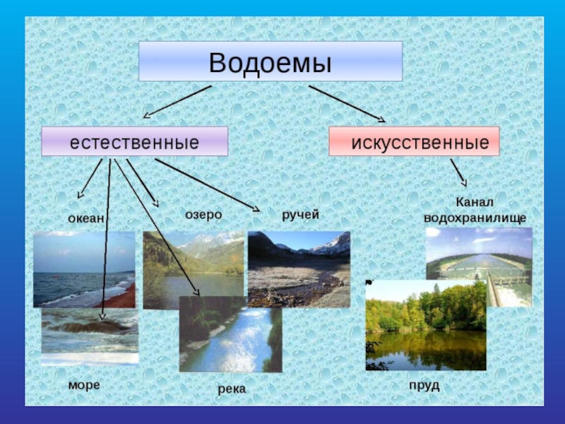 Презентация на тему водные объекты россии