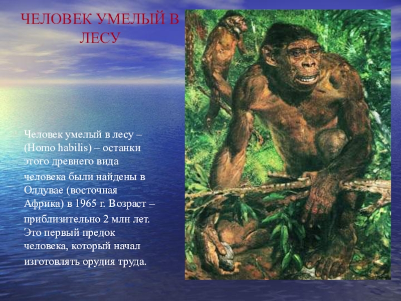 Где возник человек умелый биология 9 класс. Человек умелый. Предки человека. Человек умелый характеристика. Человек умелый человек разумный.