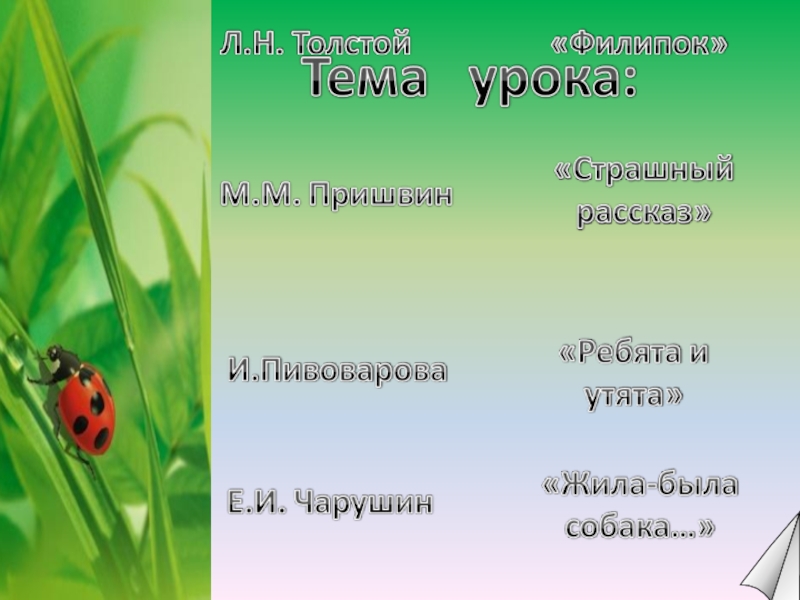 План рассказа страшный рассказ 2 класс. Чарушин страшный рассказ презентация. Страшный рассказ 2 класс презентация. Чтение 2 класс страшный рассказ. Страшный рассказ 2 класс школа России.