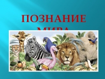 Презентация по познанию мира на тему Многообразие животных