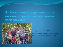 Презентация по изобразительной деятельности Изобразительная деятельность как способ развития творческого воображения