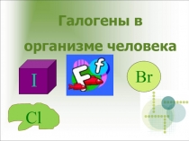 Галогены в организме человека