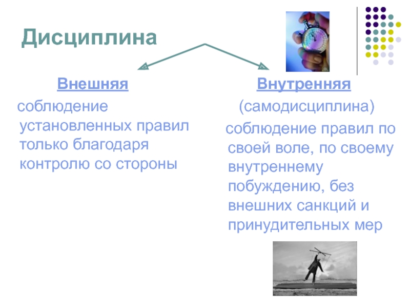 Что такое дисциплина 7 класс обществознание презентация