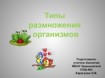 Презентация к уроку в 9 классе на тему Типы размножения организмов