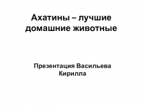 Презентация по биологии на тему Ахатины