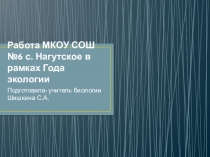 Презентация по теме  Работа МКОУ СОШ №6 село Нагутское в рамках Года Экологии