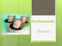 Презентация к уроку по теме Генная и клеточная инженерия