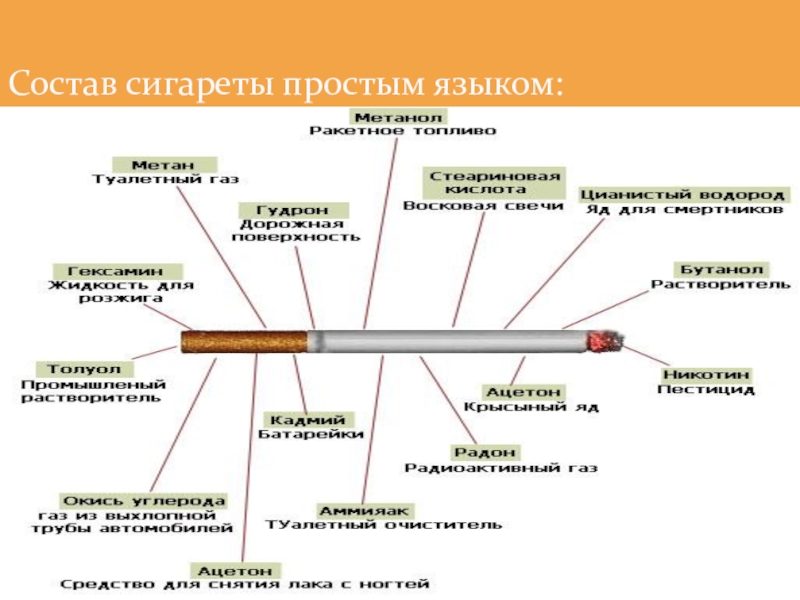 Из чего состоит сигарета рисунок