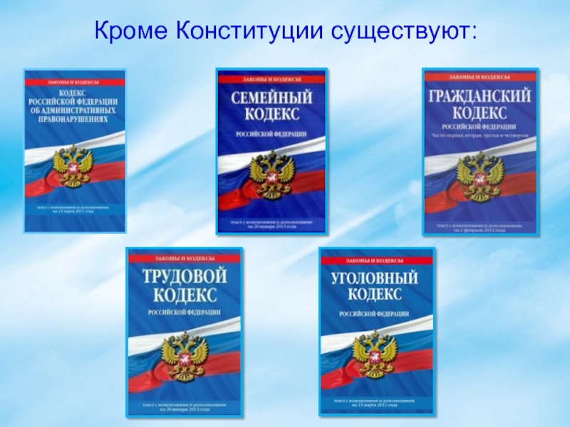 Кроме существует. Законы кроме Конституции. Какие есть законы кроме Конституции. Кроме закона существует. Какие законы кроме Конституции есть в нашей стране.