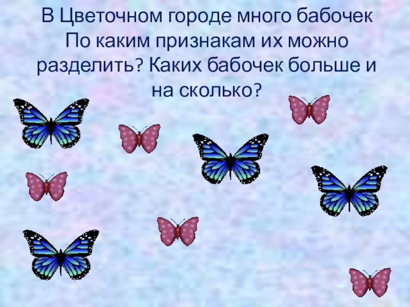 Бабочка какой вопрос. Признаки много бабочек. Расположи бабочек по признаку. Название мероприятия по бабочкам. Расскажи каких бабочек ты видел летом.