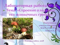Презентация по биологии к лабораторной работе Строение плодовых тел шляпочных грибов (7 класс) по Сухоруковой
