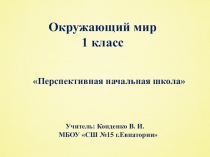 Презентация по окружающему миру на тему:  Как животные готовятся к зиме. 1 класс ( 1 урок) ПНШ