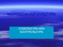 Презентация по обществознанию на тему Молодёжная субкультура