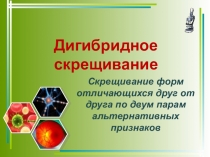 Презентация по биологии на тему Дигибридное скрещивание (9 класс)