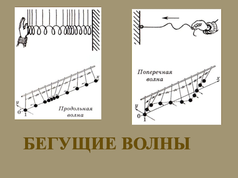 Бегущая волна физика. Бегущая волна схема. Бегущая продольная волна. Схема бегущей волны физиология.