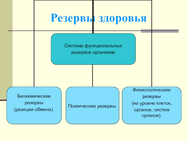 Резервы организма