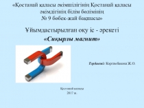 Презентация по экологии Волшебный магнит