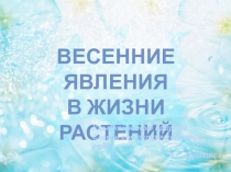 Виртуальная весенняя экскурсия. Разработка урока с презентацией.