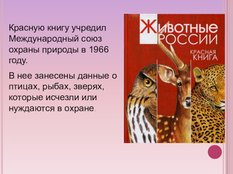 Презентация красная книга 2 класс