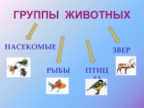 Презентация по окружающему миру Жизнь животных (1 класс)