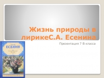 Презентация по литературе Жизнь природы в лирике С.А. Есенина
