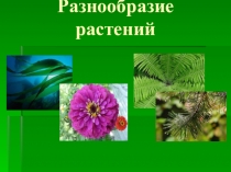 Презентация по окружающему миру на тему Разнообразие растений (3 класс)