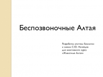 Беспозвоночные Алтая (презентация к элективному курсу Животные Алтая)
