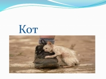 Сложение чисел с разными знаками