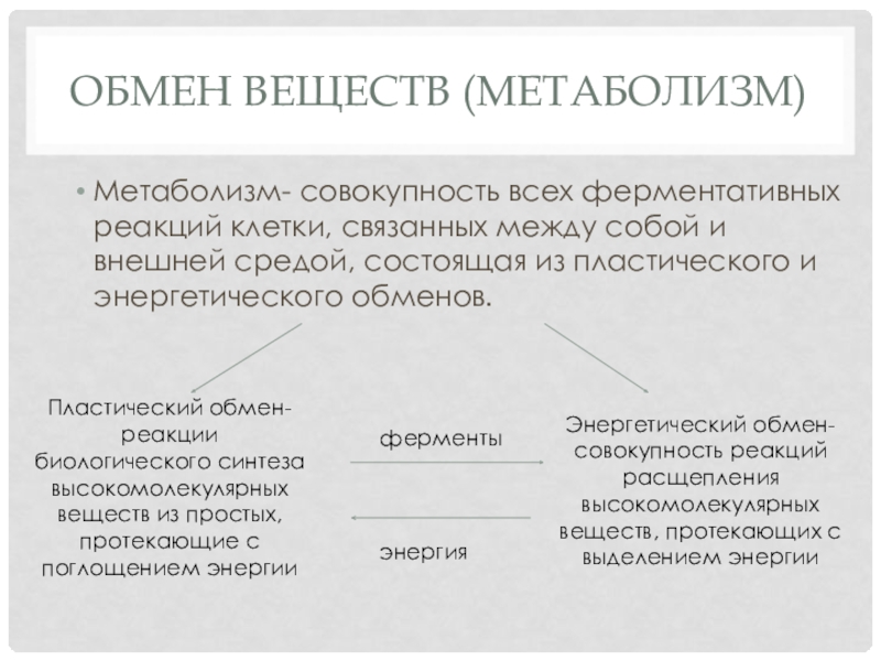 Пластический и энергетический обмен примеры