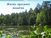 Презентация по окружающему миру на тему Пресный водоём