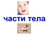 Презентация по ФЦКМ на тему Части тела