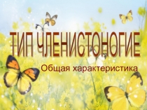 Презентация по биологии на тему: Тип Членистоногие . Общая характеристика (7 класс)
