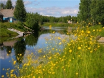 Презентация к экологическому мероприятию В гостях у Лешего